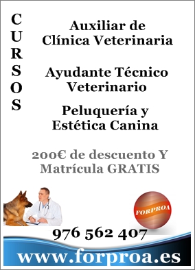 Forproa/ cursos de Veterinaria en Zaragoza