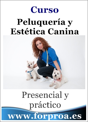 (Forproa) Curso de Peluquería y Estética Canina